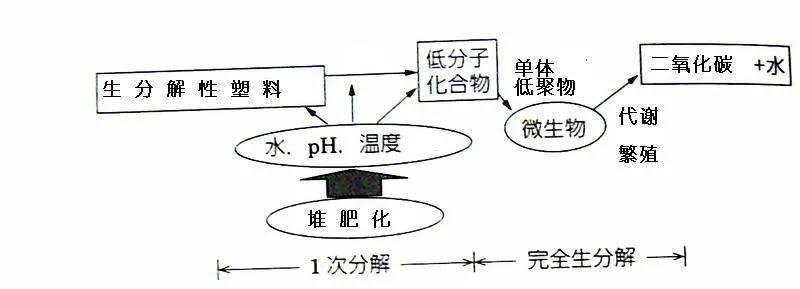 可生物降解環(huán)保塑料可以回收再利用嗎？(圖3)