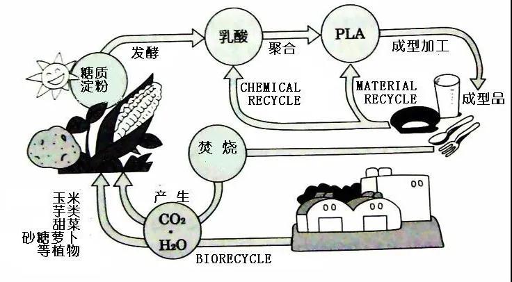 可生物降解環(huán)保塑料可以回收再利用嗎？(圖4)