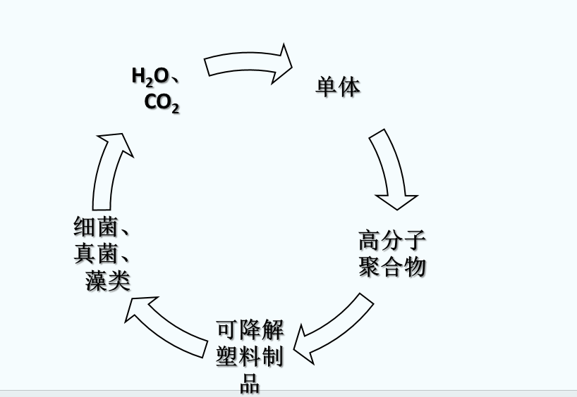 什么是可生物降解塑料？(圖1)